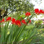 Sellraintaler Auszeit 1 Apartman *