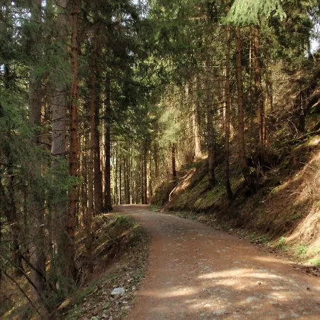 Sellraintaler Auszeit 1 公寓