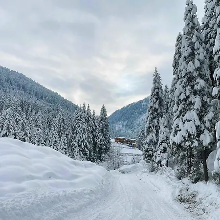 公寓 Sellraintaler Auszeit 1 Sellrain