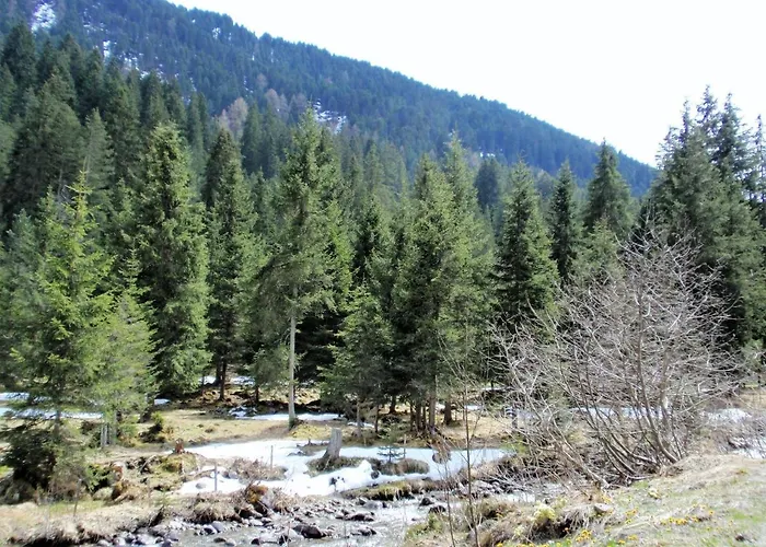 Sellraintaler Auszeit 1 شقة