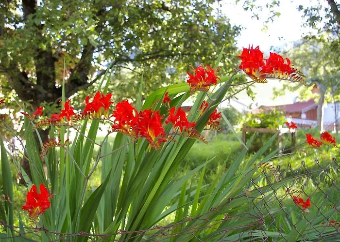 Sellraintaler Auszeit 1 شقة *